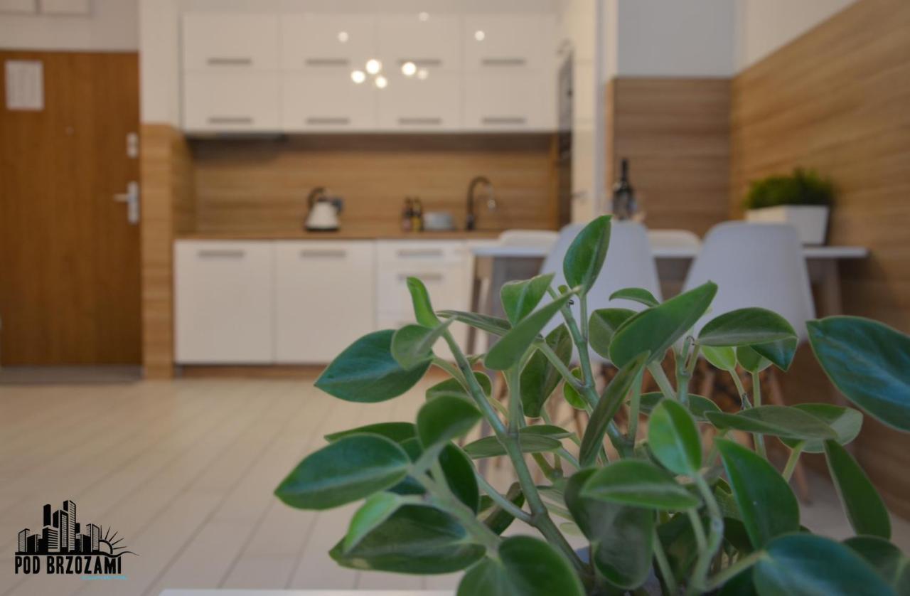 Pod Brzozami Apartamenty Dwie Sosny Ustronie Morskie Exterior foto